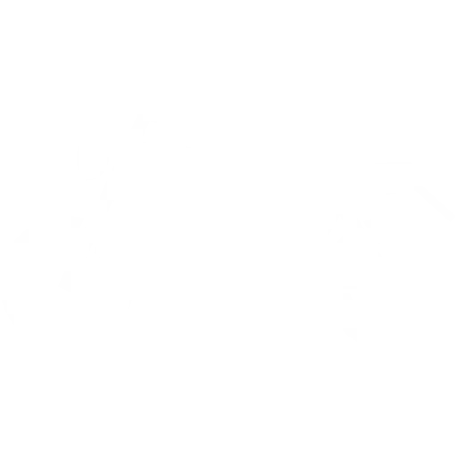 yu drive fahrschule, Führerschein, Führerscheinklassen, Fuhrpark, Theorieunterricht, PKW, Motorrad, Anhänger